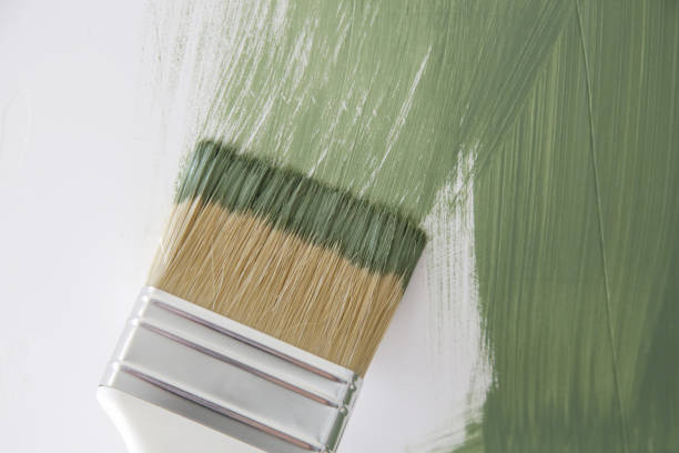 Eco-Friendly and Low-VOC Painting in Edgewood, TX